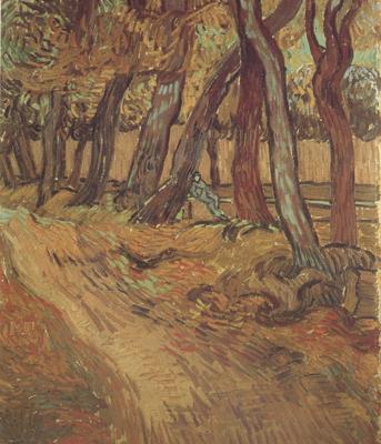 Vincent Van Gogh The Garden of Saint-Paul Hospital with Figure (nn04) oil painting picture